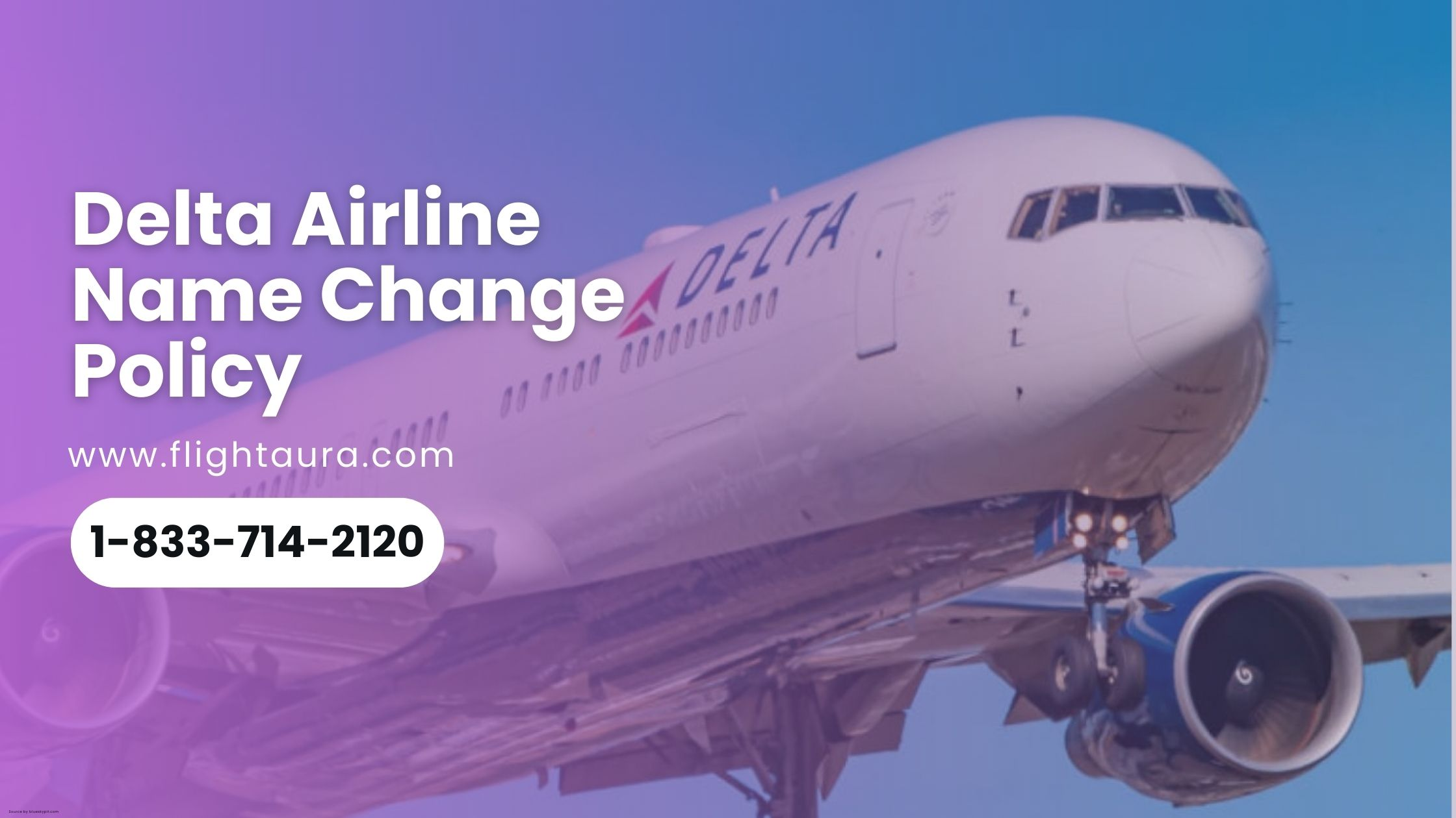 Delta Airlines Name Change Policy
