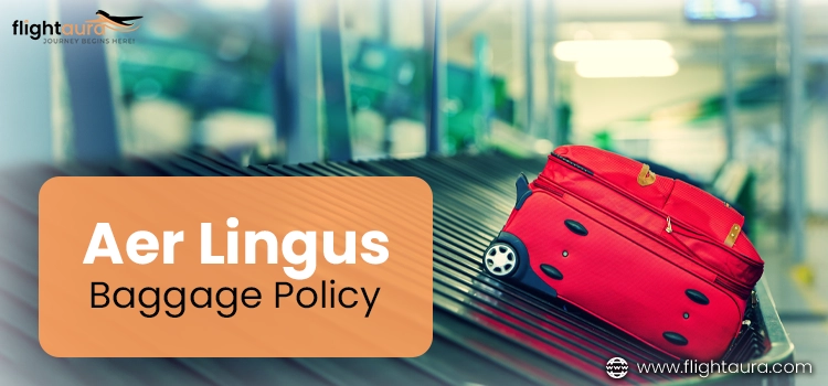 Aer Lingus 2023 Baggage Allowance For Carry On & Checked Baggage 