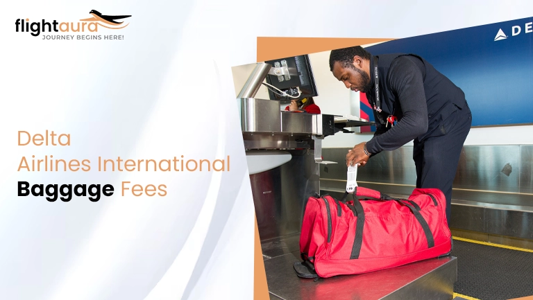 Delta Airlines International Baggage Fees