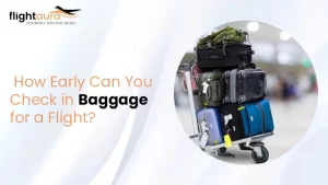 How Early Can You Check in Baggage for a Flight?